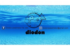 diodon2.jpg